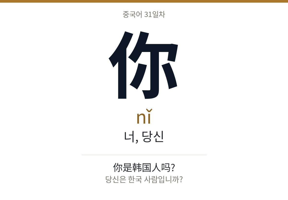 你 nǐ · 너, 당신
