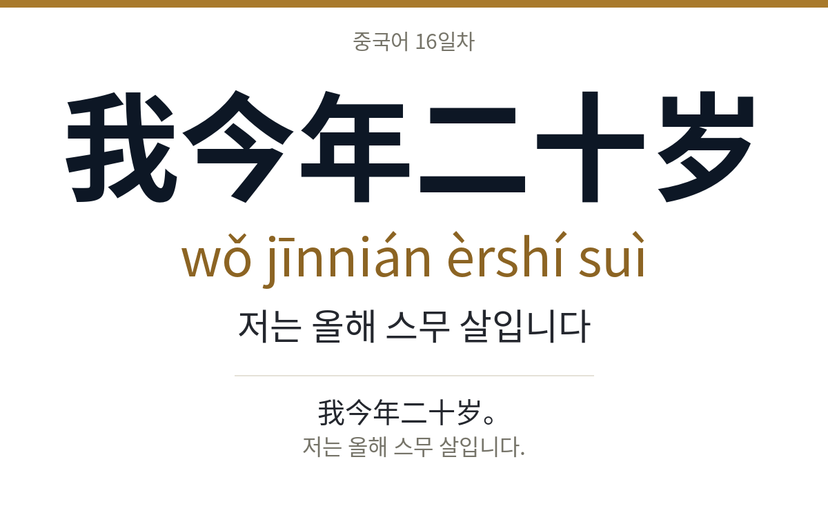 我今年二十岁 wǒ jīnnián èrshí suì · 저는 올해 스무 살입니다