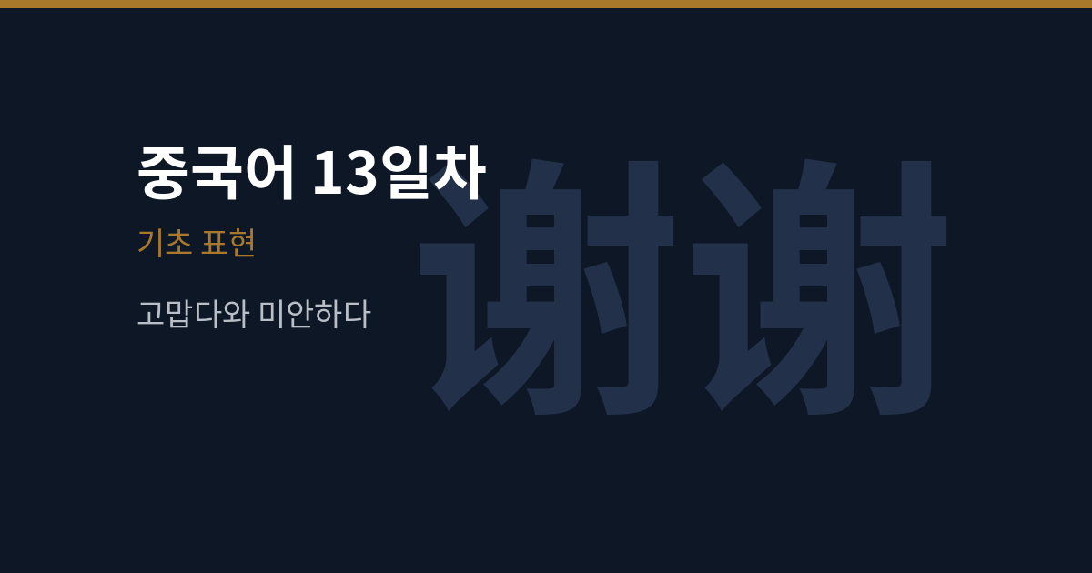 谢谢·不客气·对不起·没关系 쓰는 자리 (중국어 13일차)