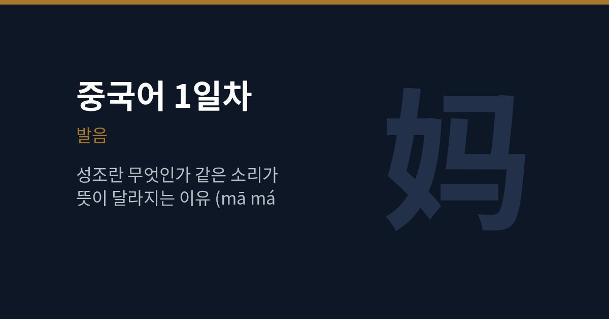 중국어 1일차 — 성조, 같은 mā 소리가 뜻이 갈리는 이유