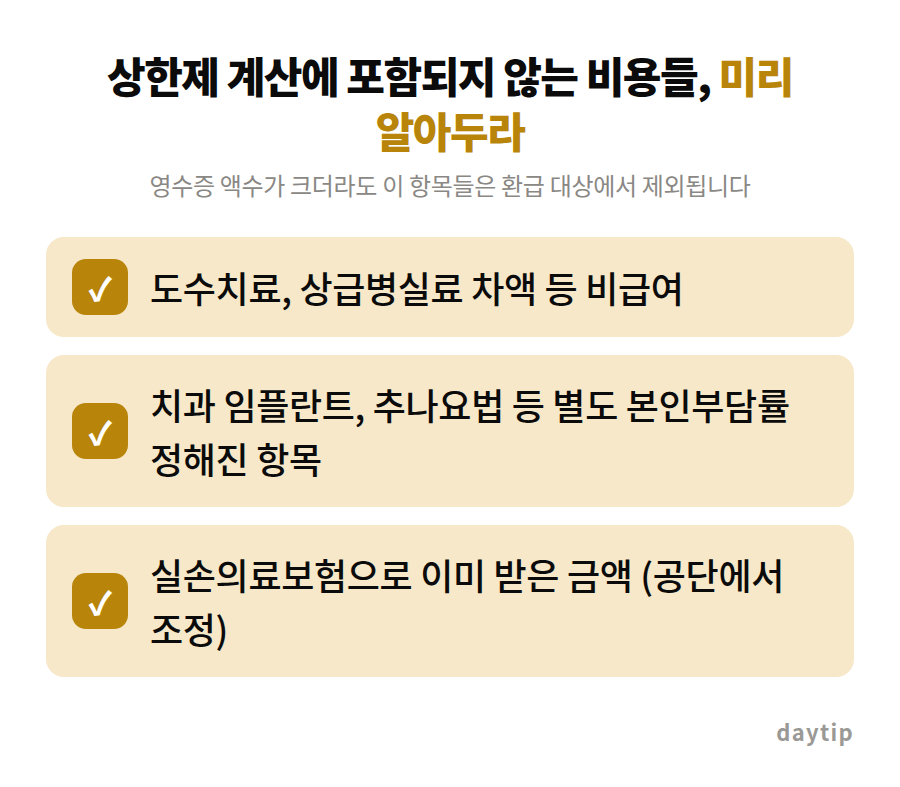 상한제 계산에 포함되지 않는 비용들, 미리 알아두라 체크리스트: 도수치료, 상급병실료 차액 등 비급여, 치과 임플란트, 추나요법 등 별도 본인부담률 정해진 항목, 실손의료보험으로 이미 받은 금액 (공단에서 조정)