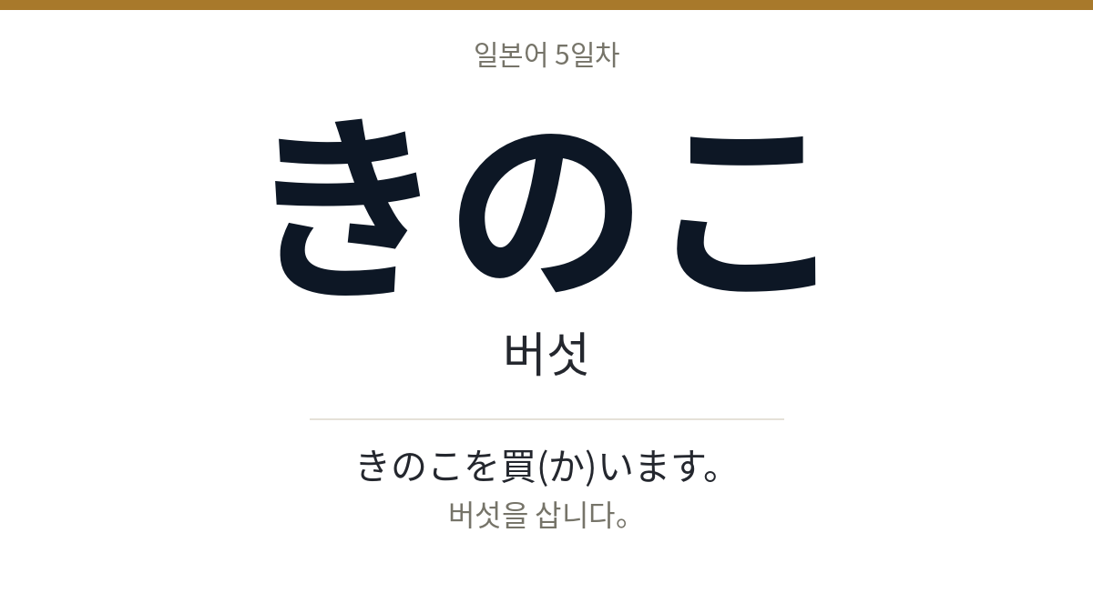 きのこ きのこ · 버섯