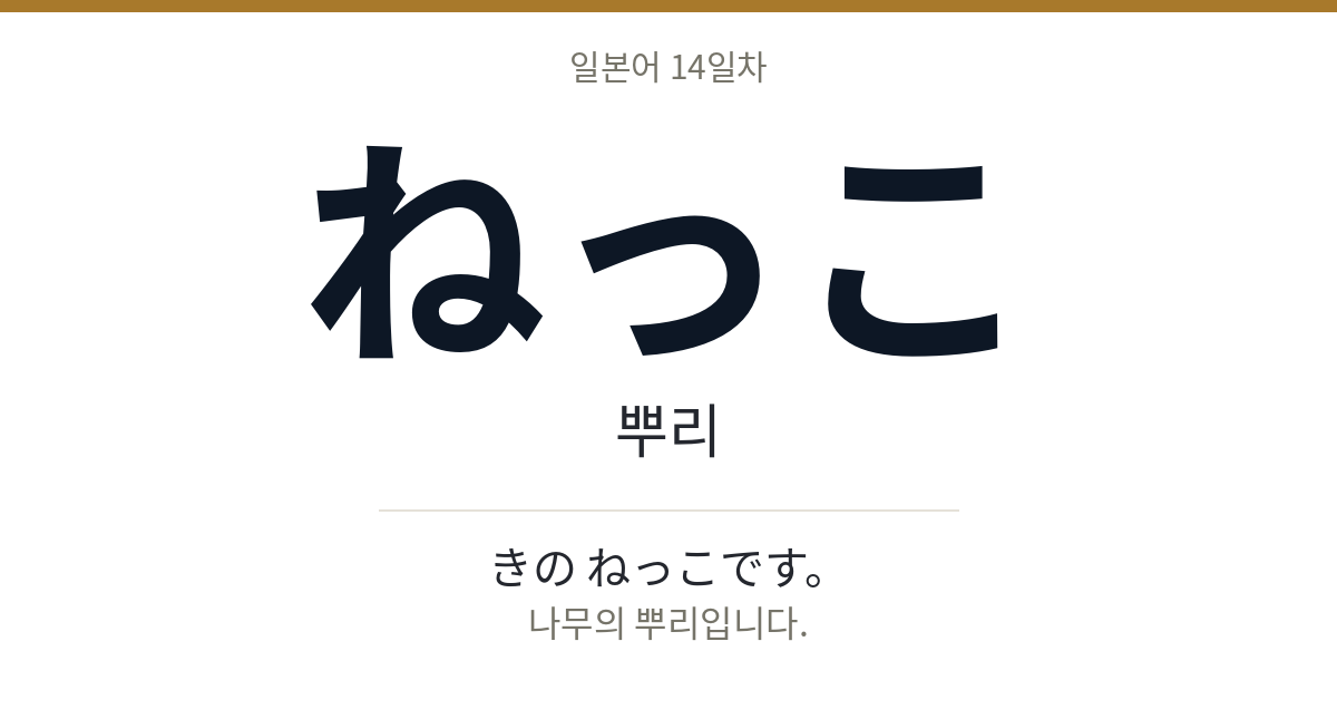 ねっこ ねっこ · 뿌리